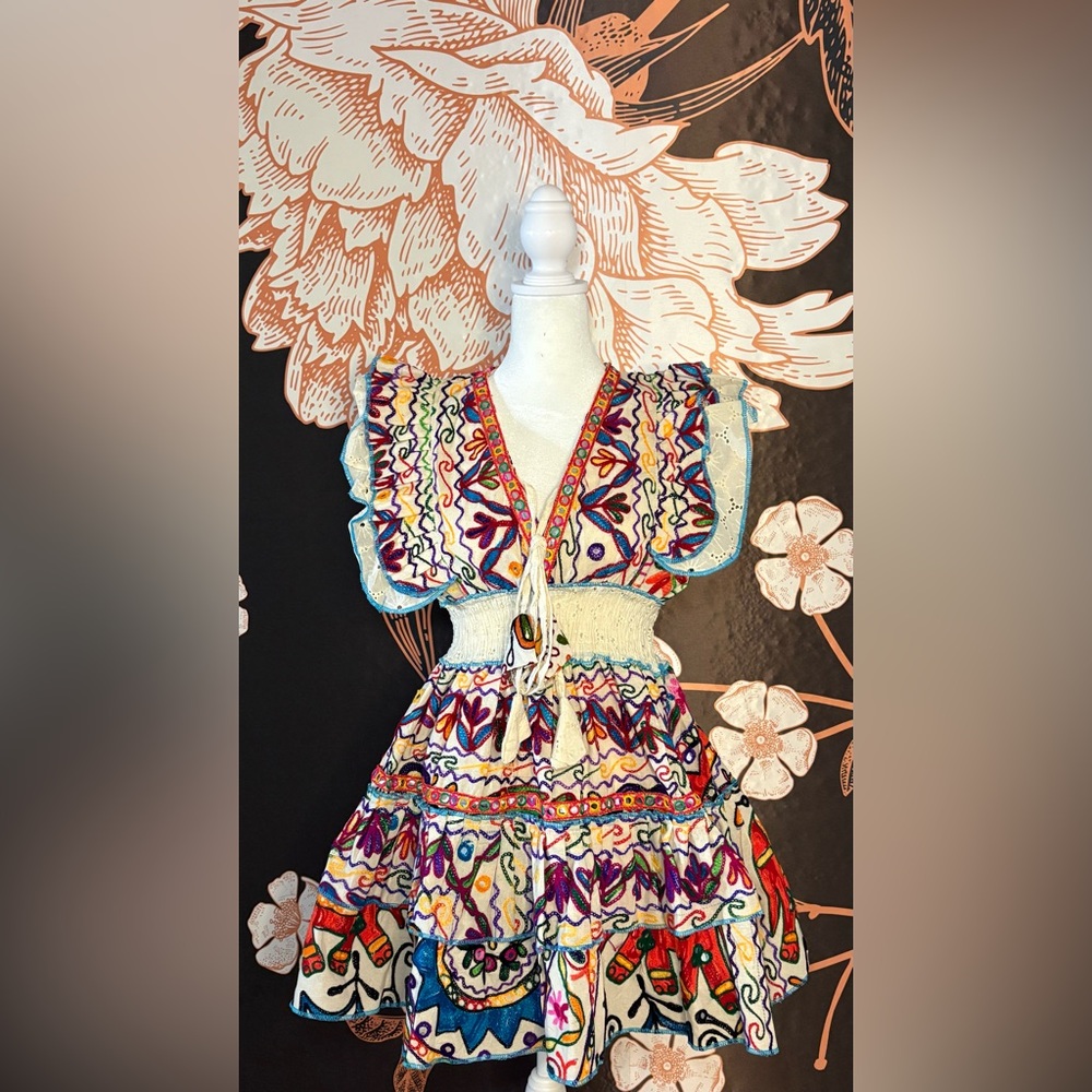 STUNNING Fully Embroidered Multicolor Flutter Sleeve Mini Dress w/ Mirror Detail
